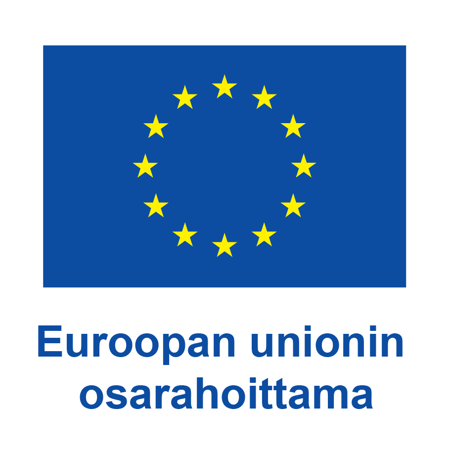 Co-funded by the European Union